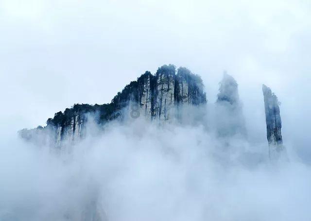 引体向上做不了，需要增强哪个部位的力量？